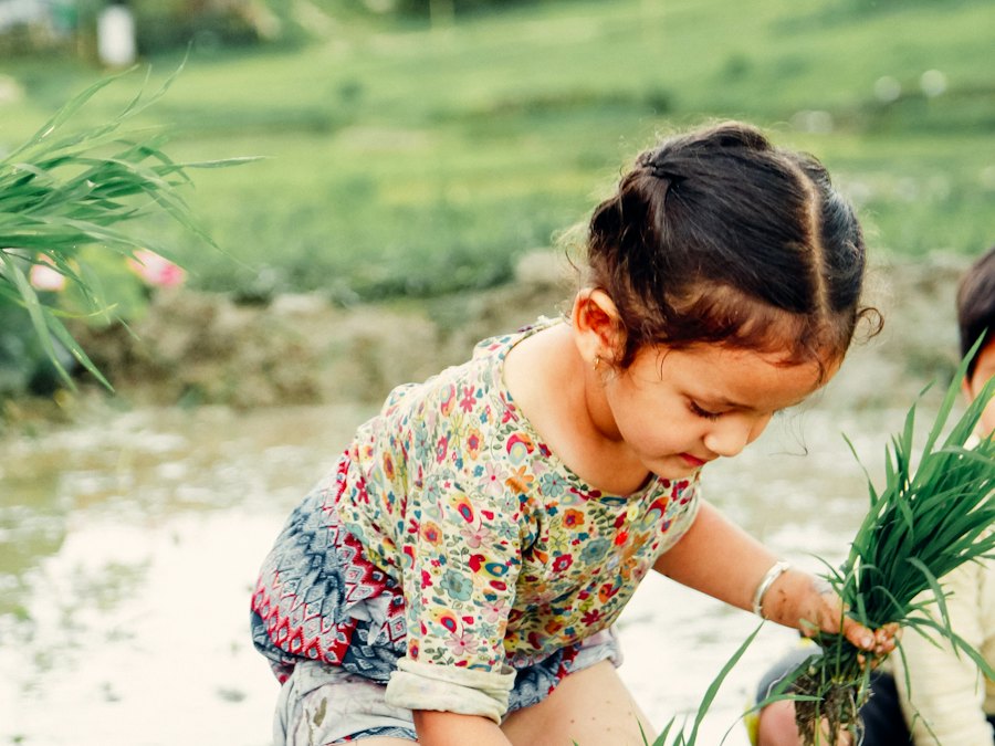 Young girl planting seedlings